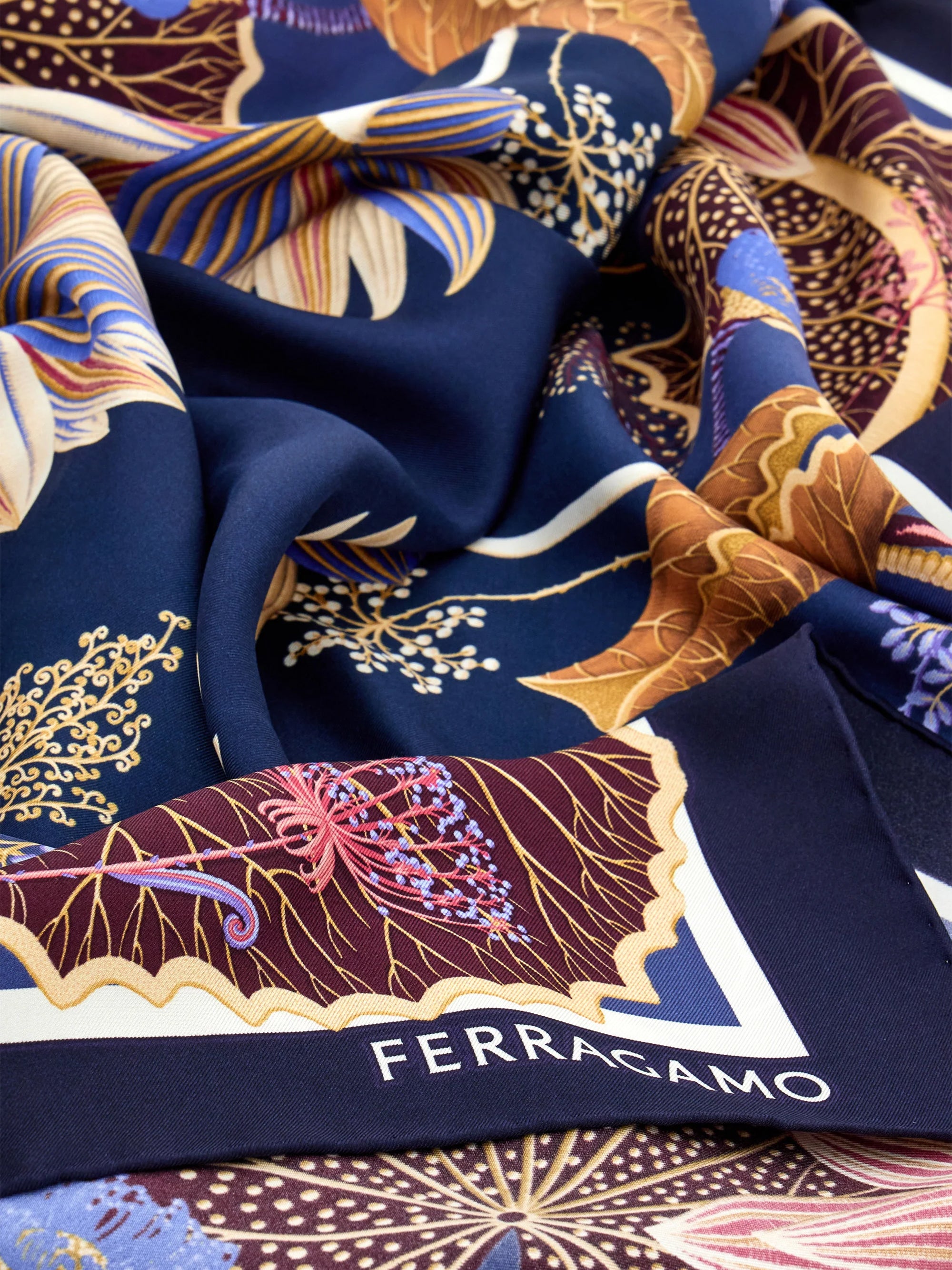 Zoom