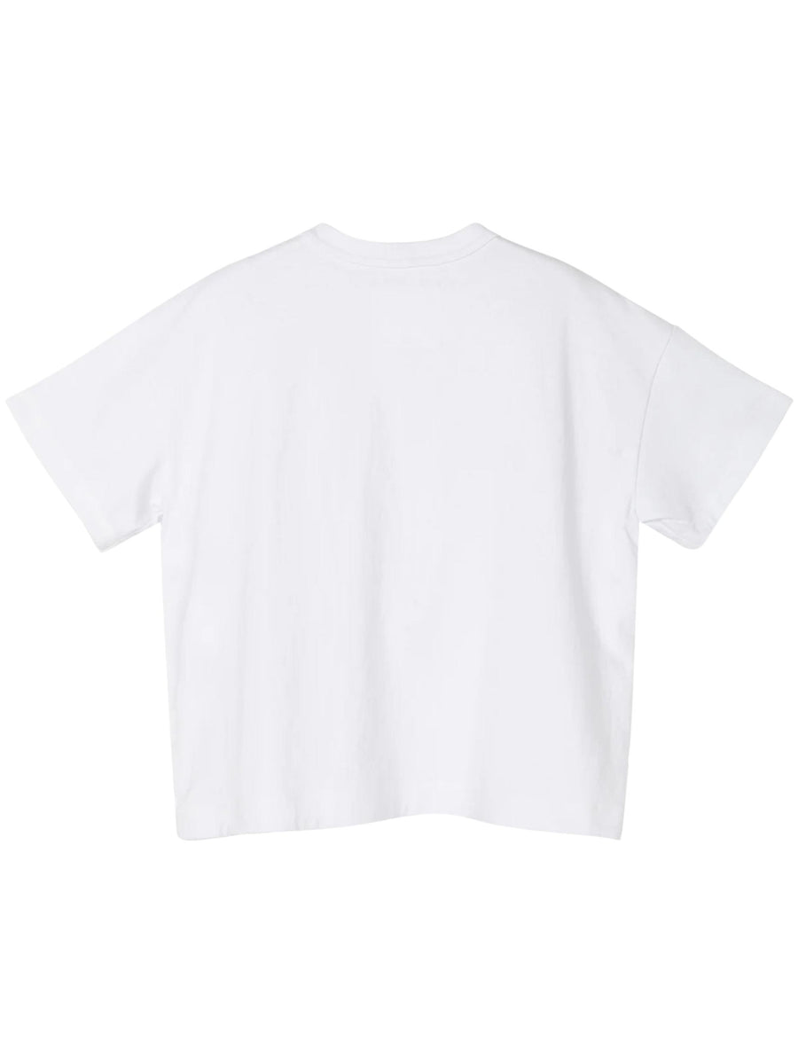  SCW241 101 SACAI 