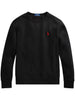 LSCNM1-LONG SLEEVE-KNIT 710766772 001 POLO RALPH LAUREN 